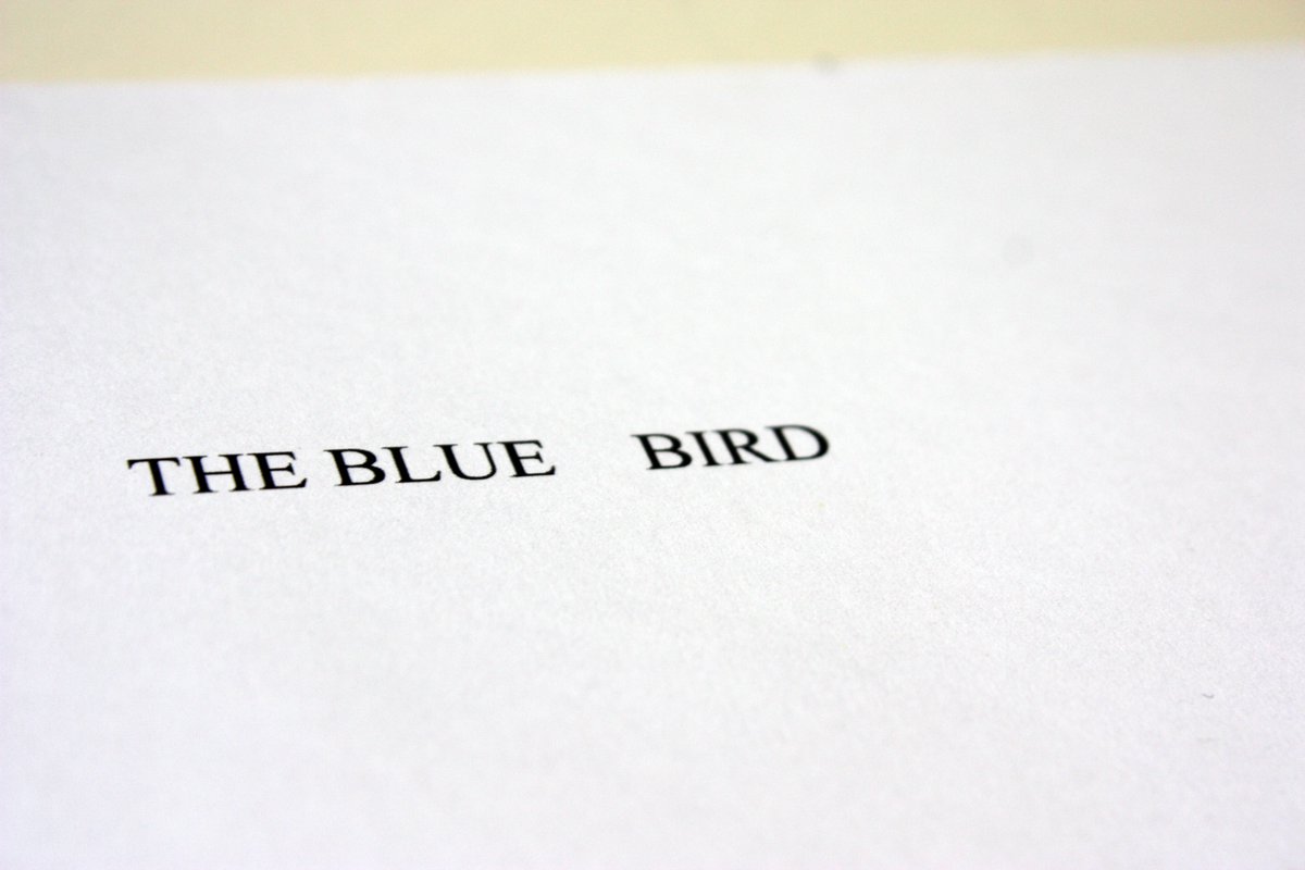 The Blue Bird 01